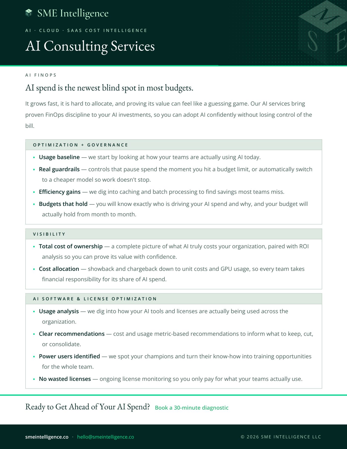 First page of the SME Intelligence AI Consulting Services