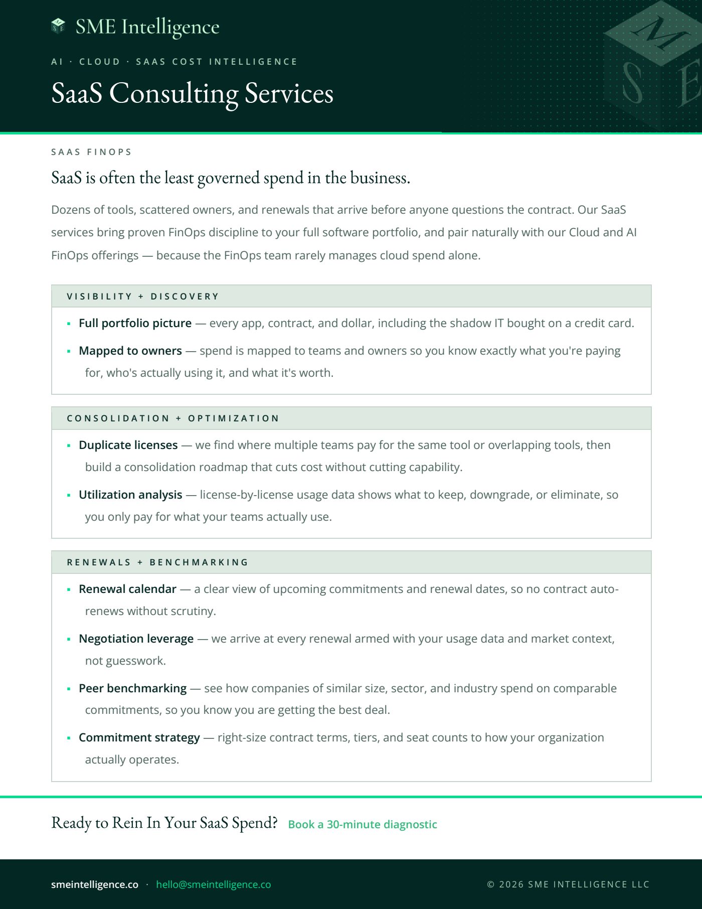 First page of the SME Intelligence SaaS Consulting Services